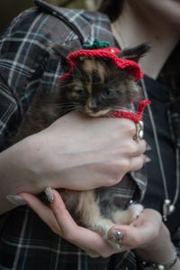 Кошеня Черрі