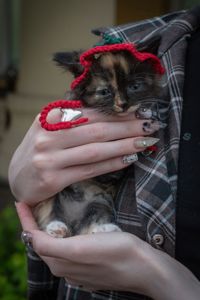 Кошеня Черрі