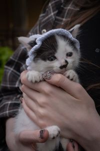 Кошеня Пампух