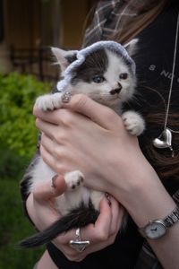 Кошеня Пампух