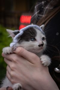 Кошеня Пампух