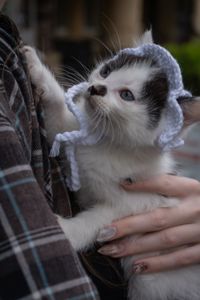Кошеня Пампух