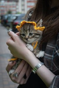 Кошеня Фанта