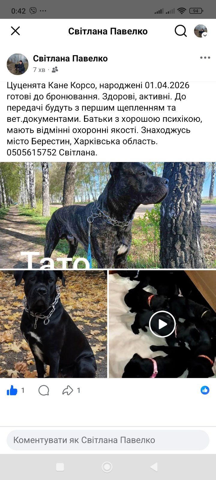 Щенки Кане корсо