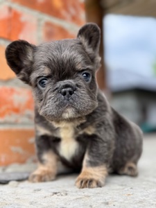 Блакитний хлопчик