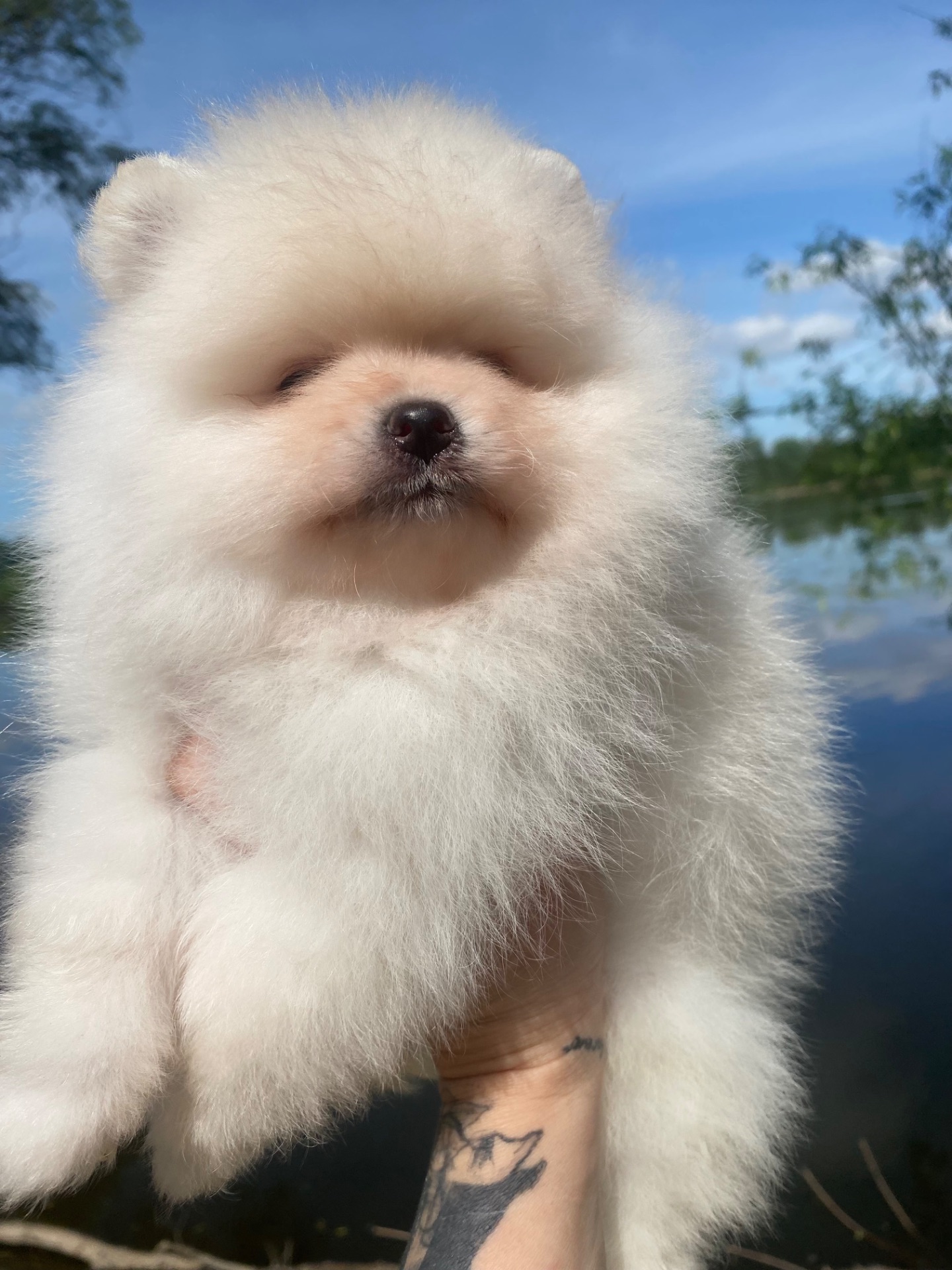 Хлопчик ведмедик