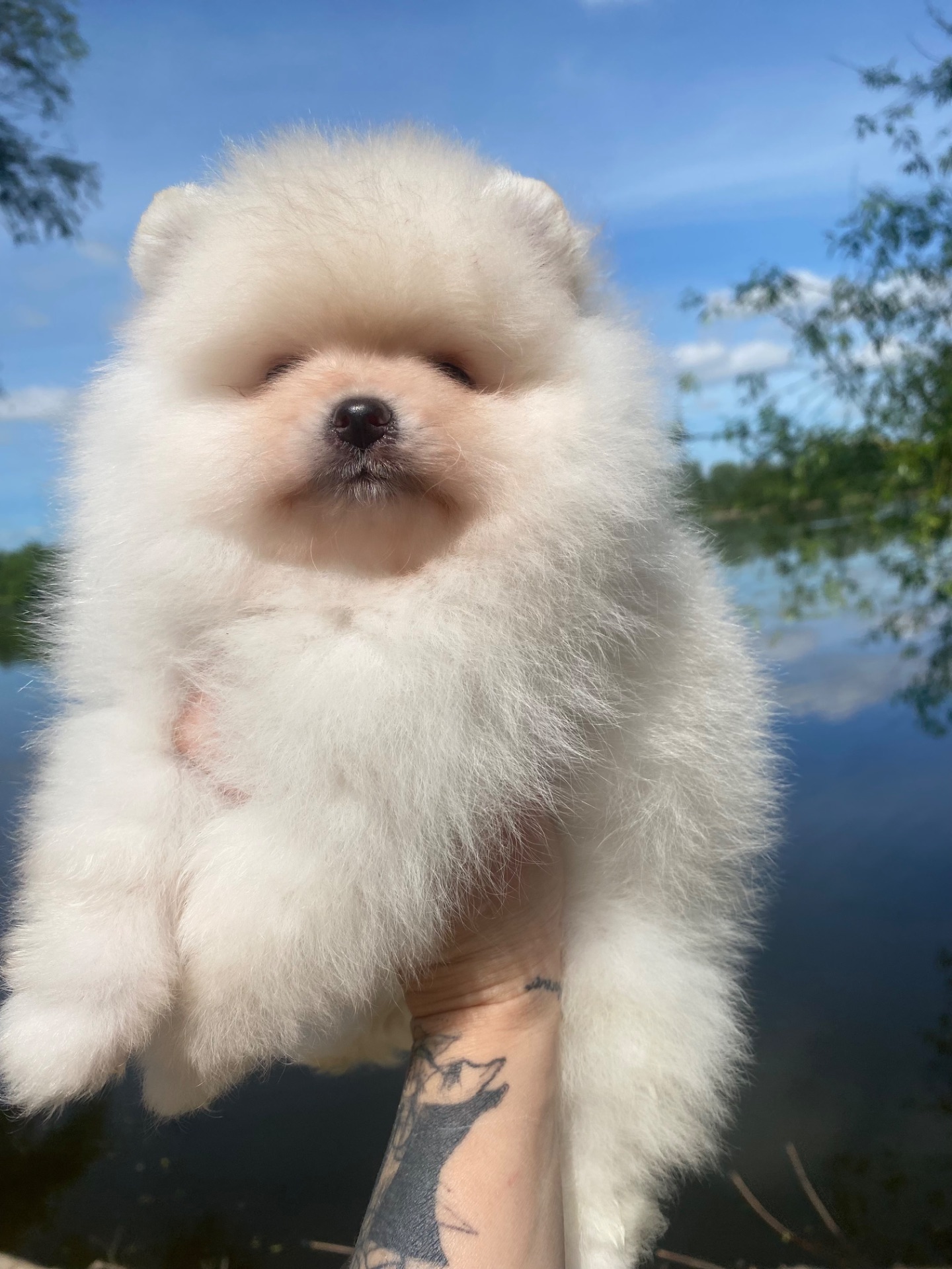 Хлопчик ведмедик