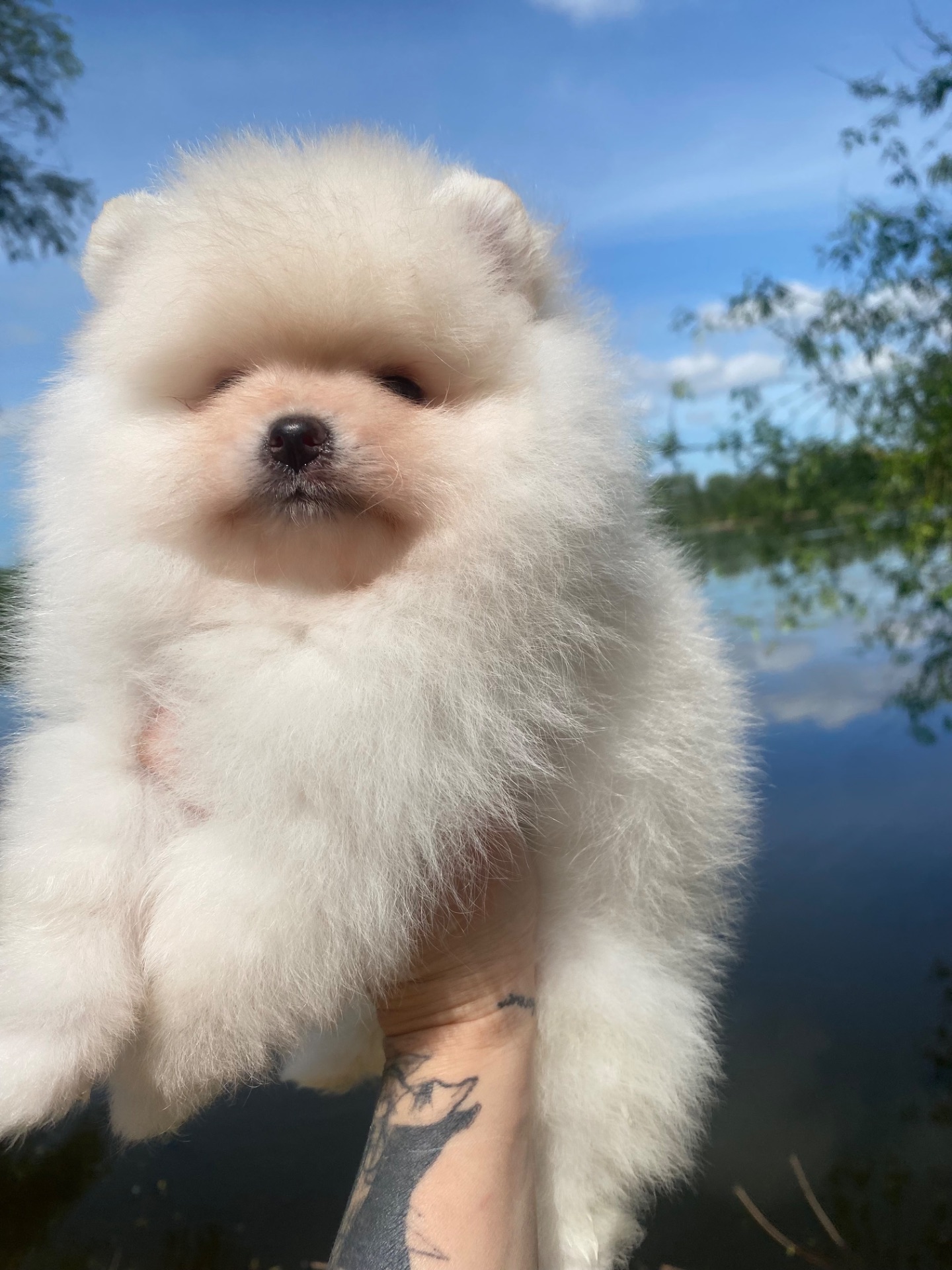 Хлопчик ведмедик