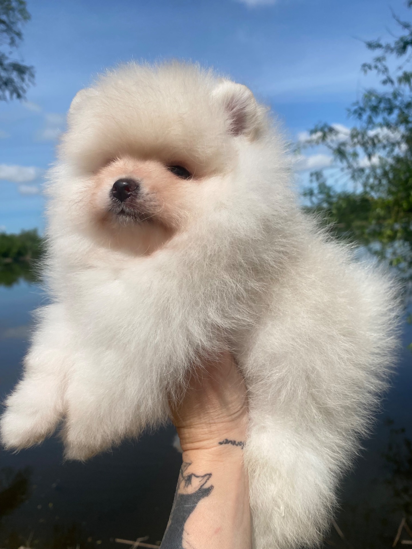 Хлопчик ведмедик