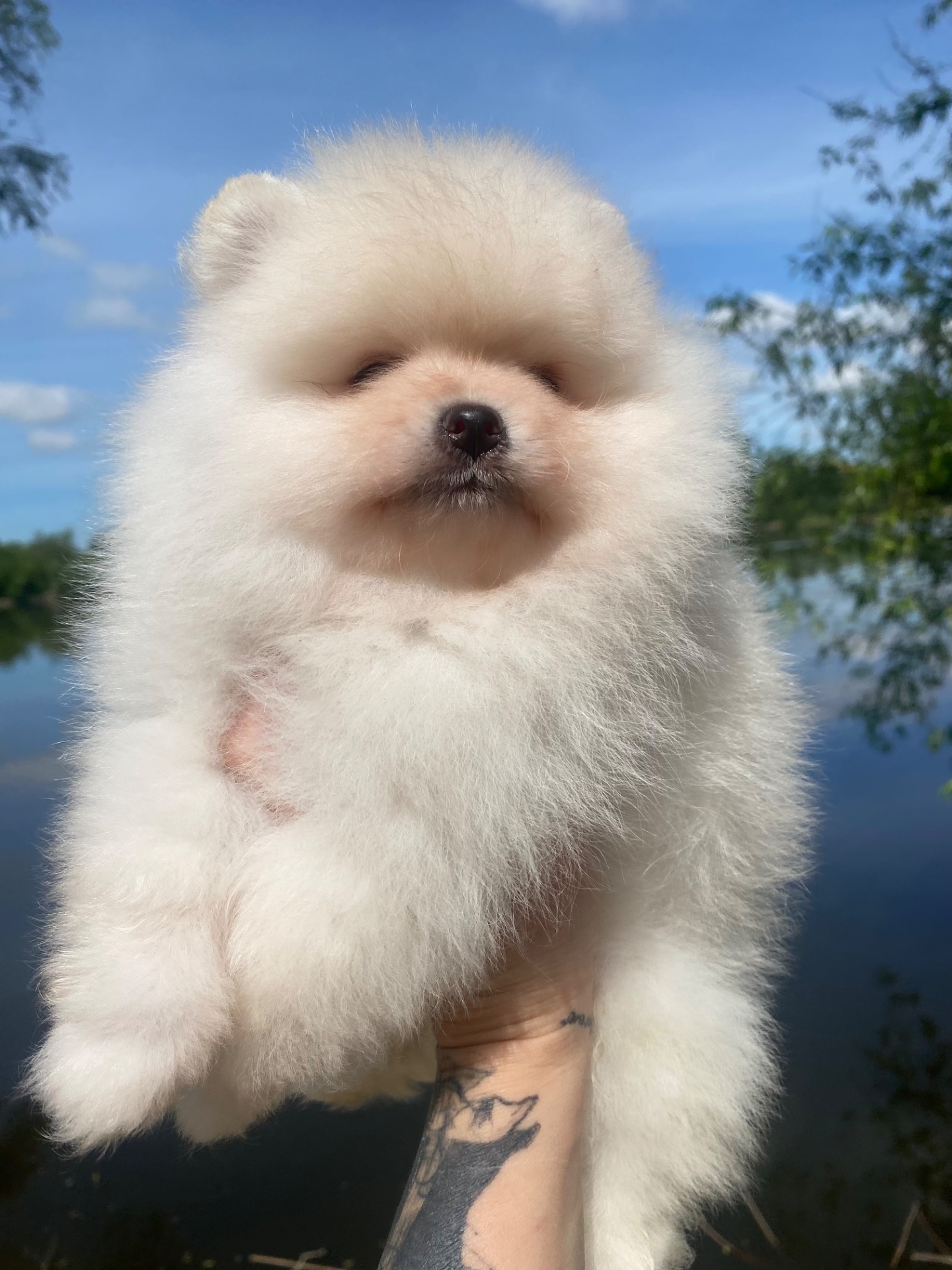 Хлопчик ведмедик
