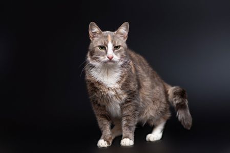 Зала