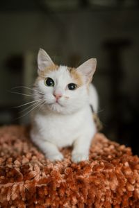 Амабель