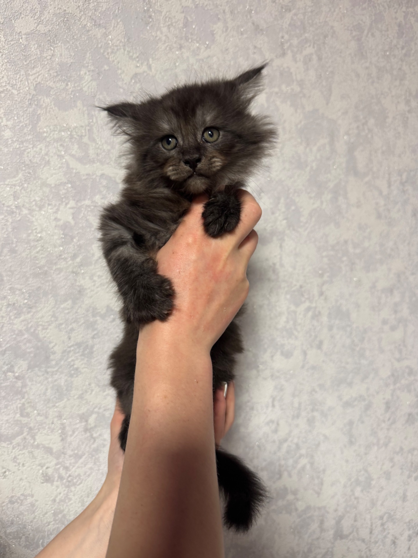 Хлопчик чорний дим