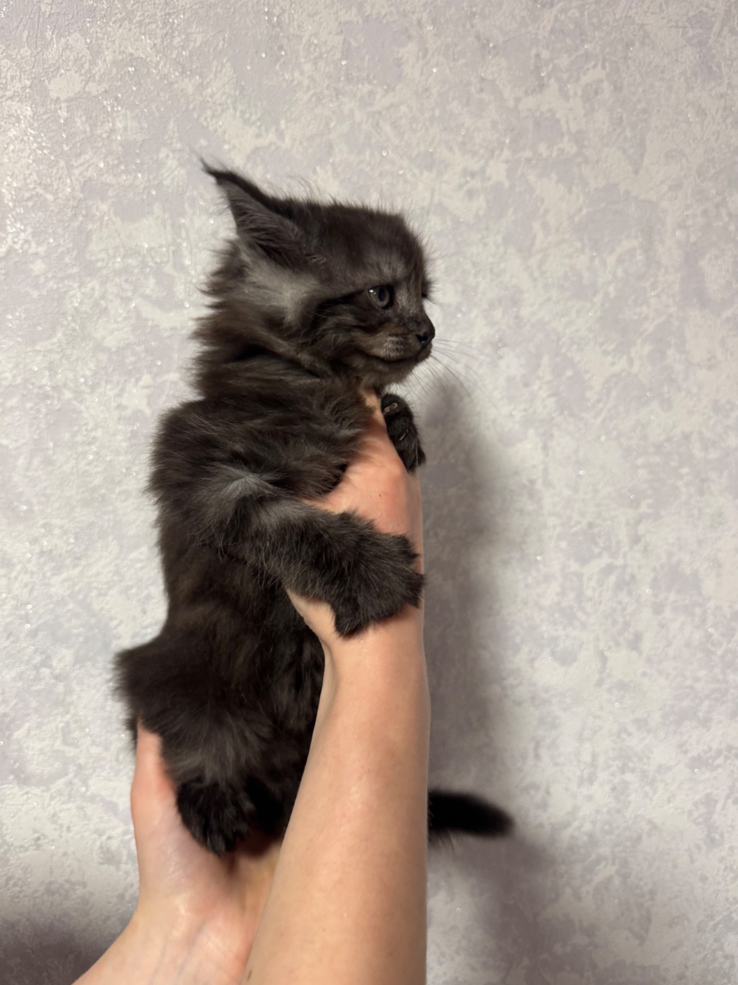 Хлопчик чорний дим