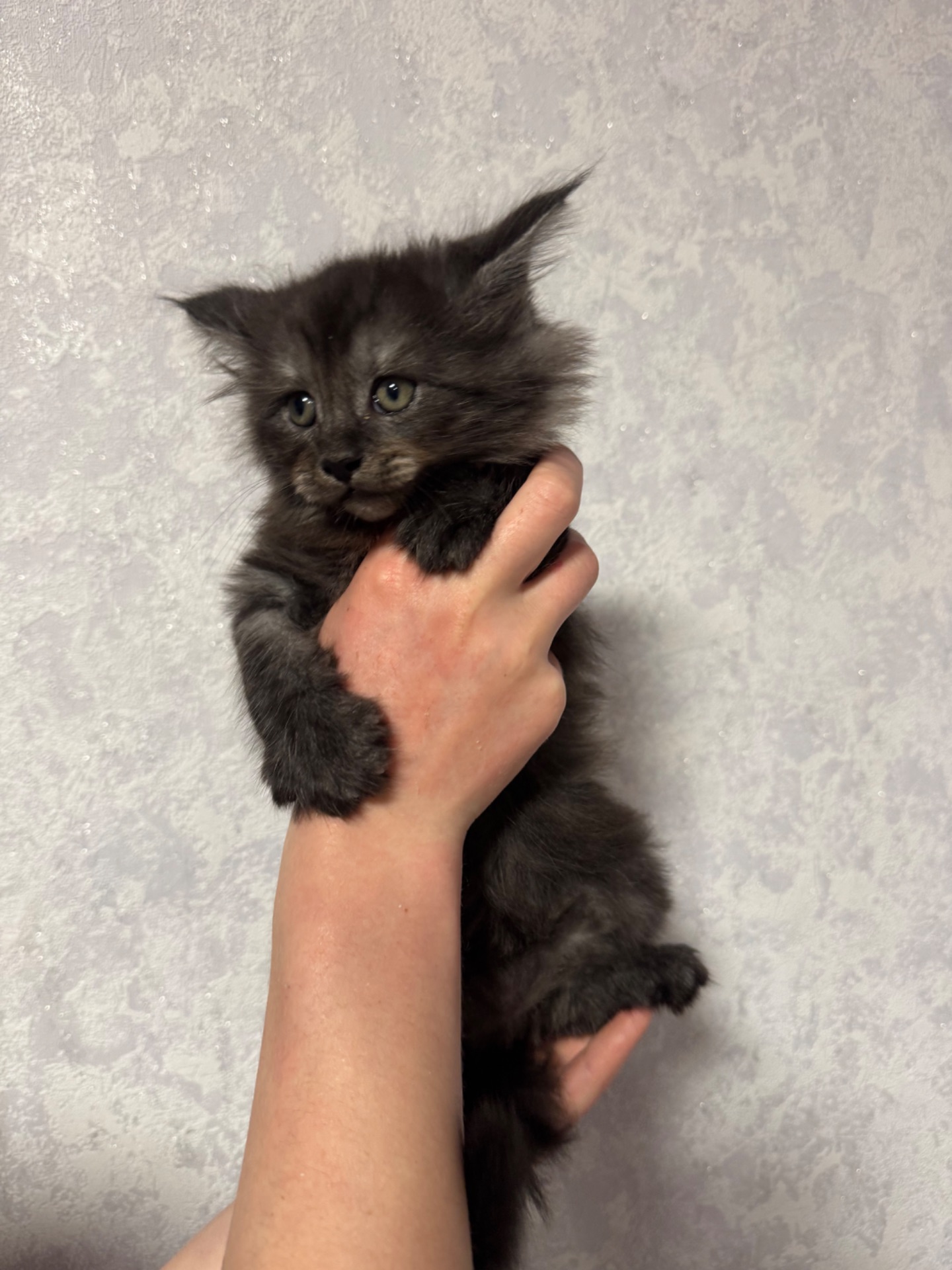 Хлопчик чорний дим