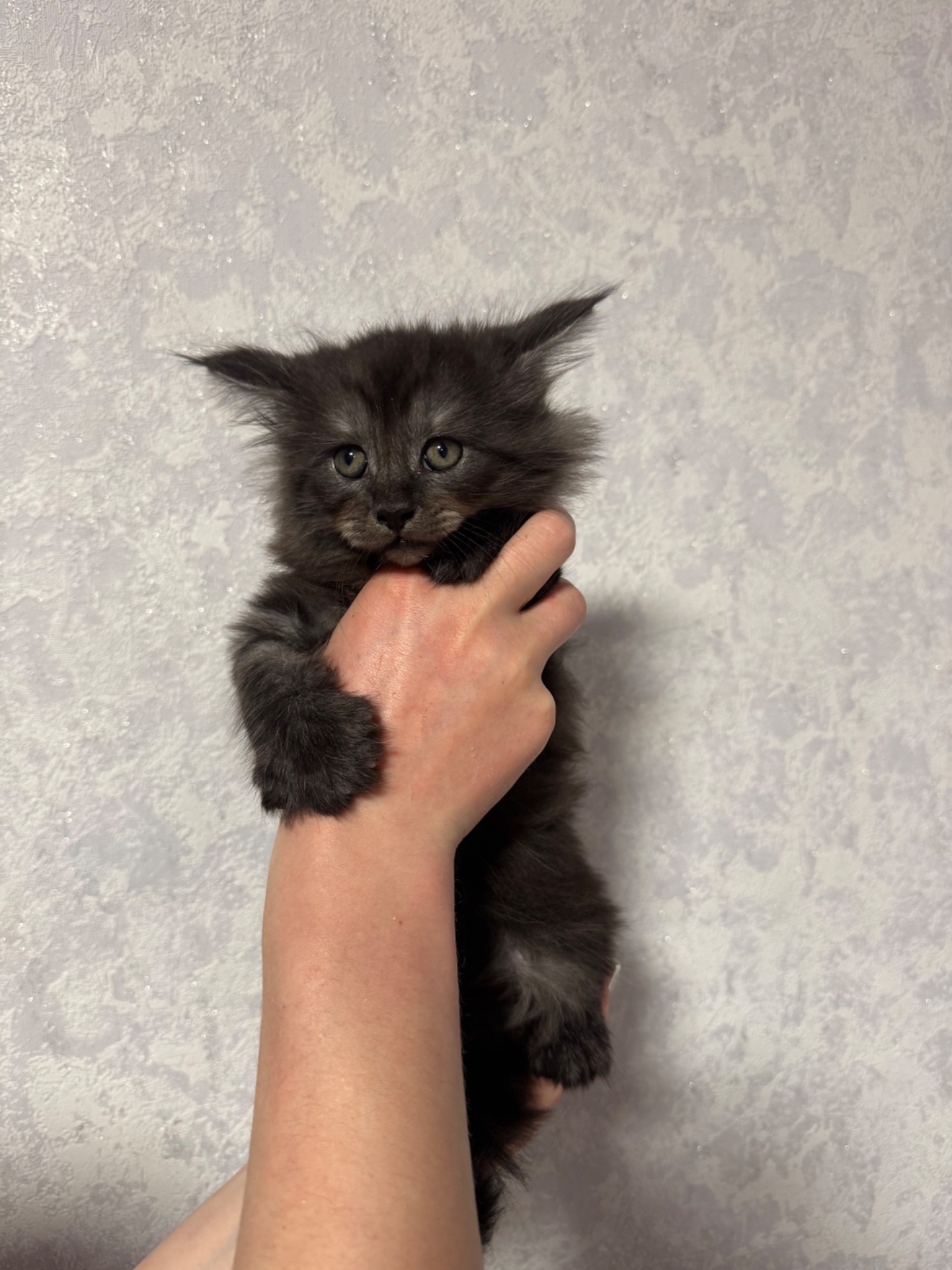 Хлопчик чорний дим