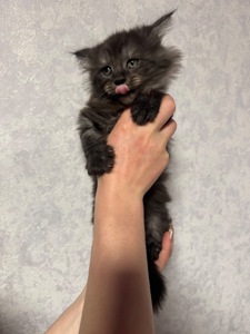 Хлопчик чорний дим
