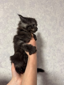 Хлопчик чорний дим