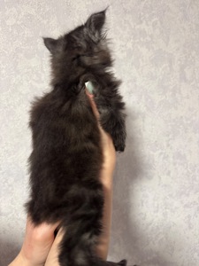 Хлопчик чорний дим