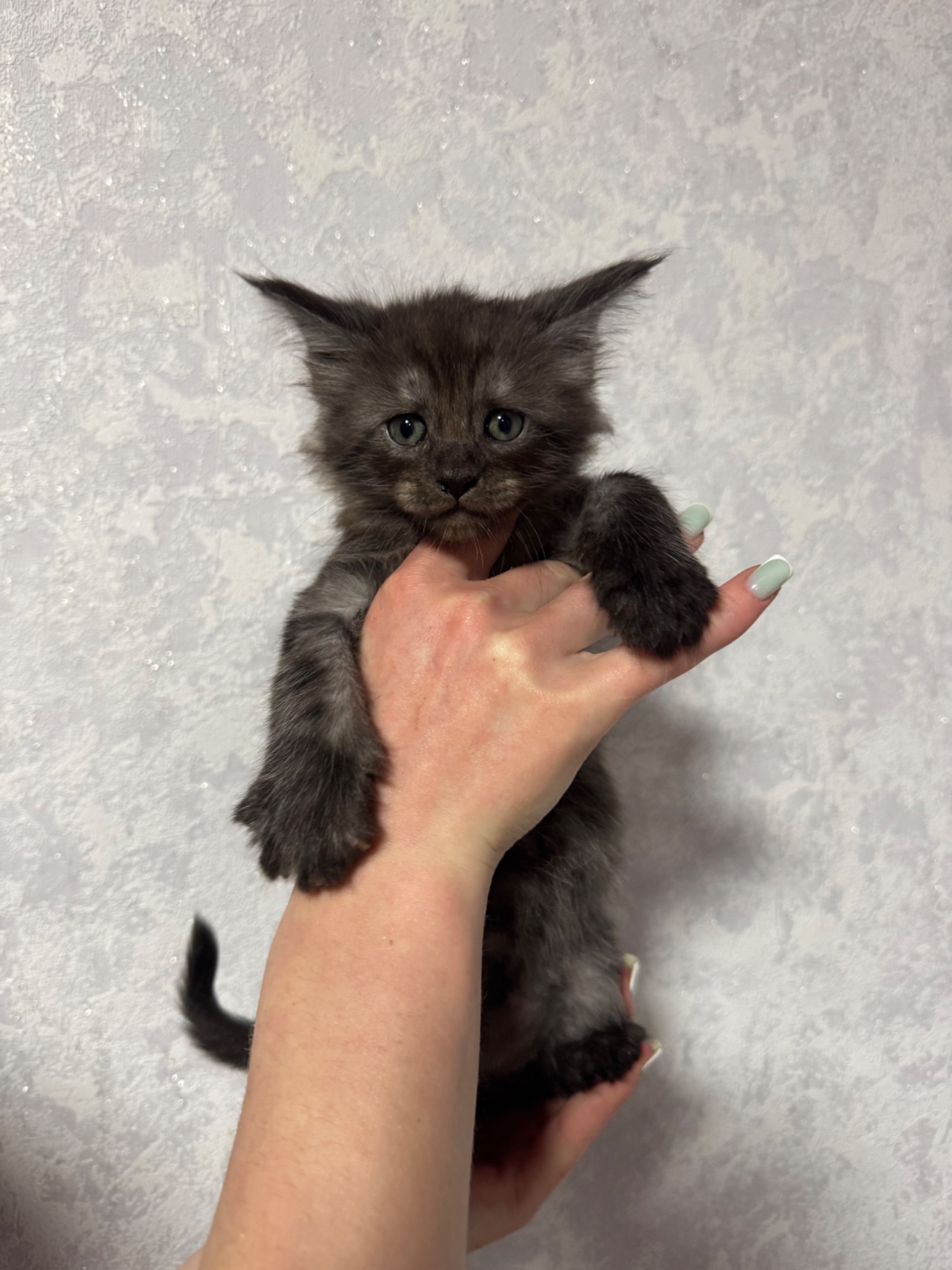 Хлопчик