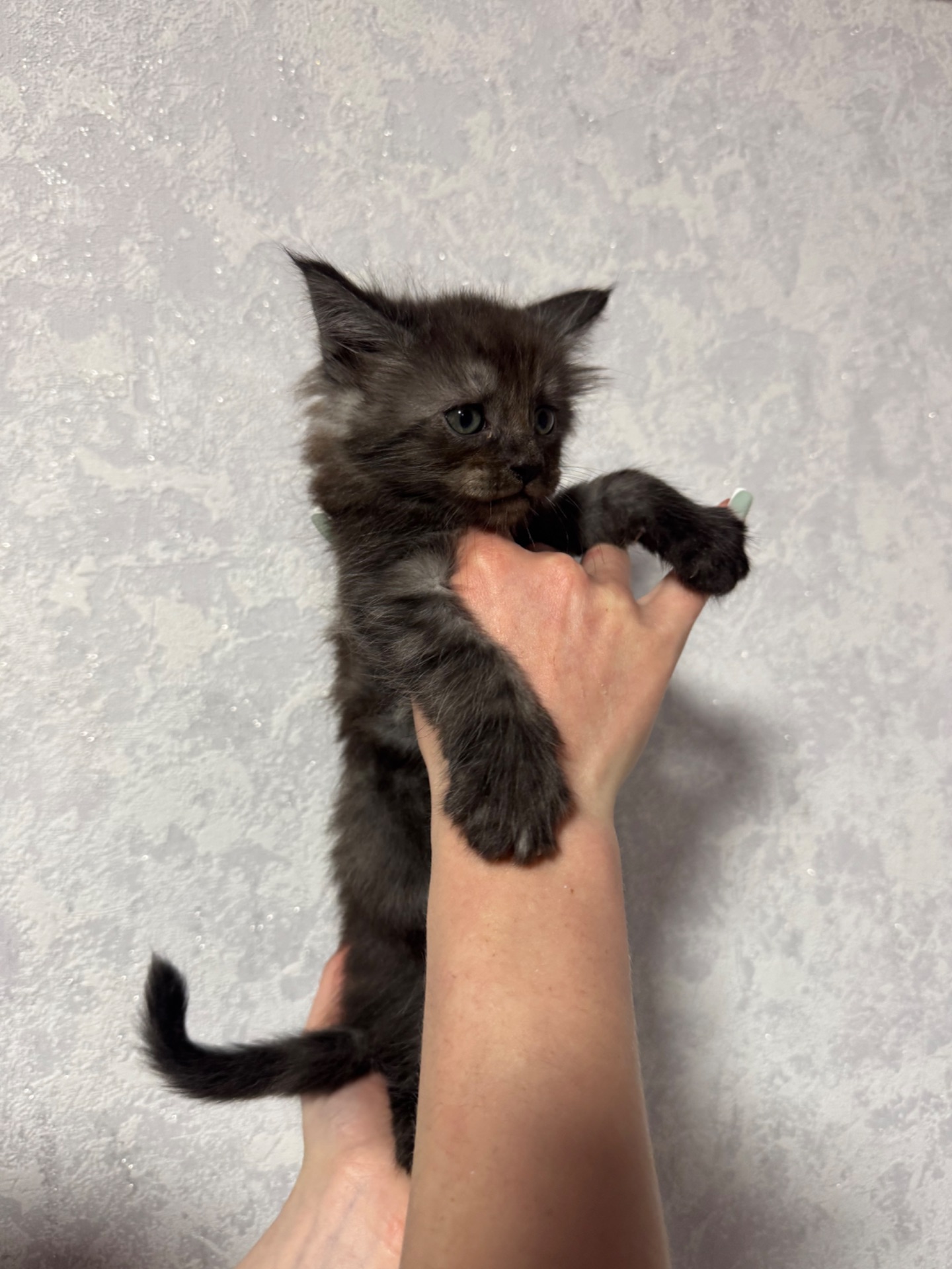Хлопчик