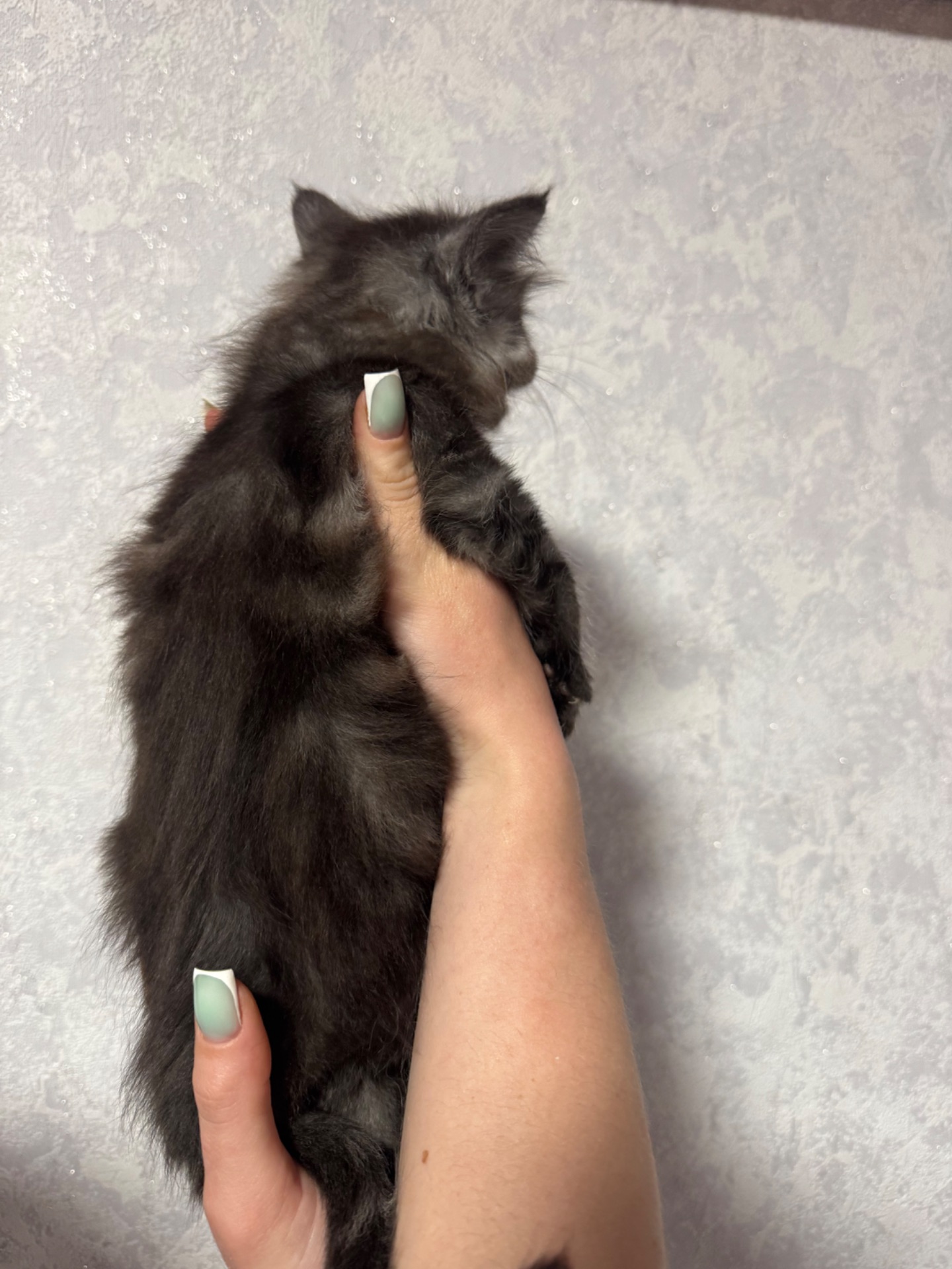 Хлопчик