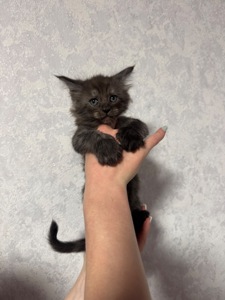 Хлопчик