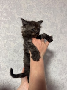 Хлопчик