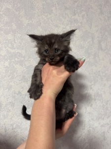 Хлопчик