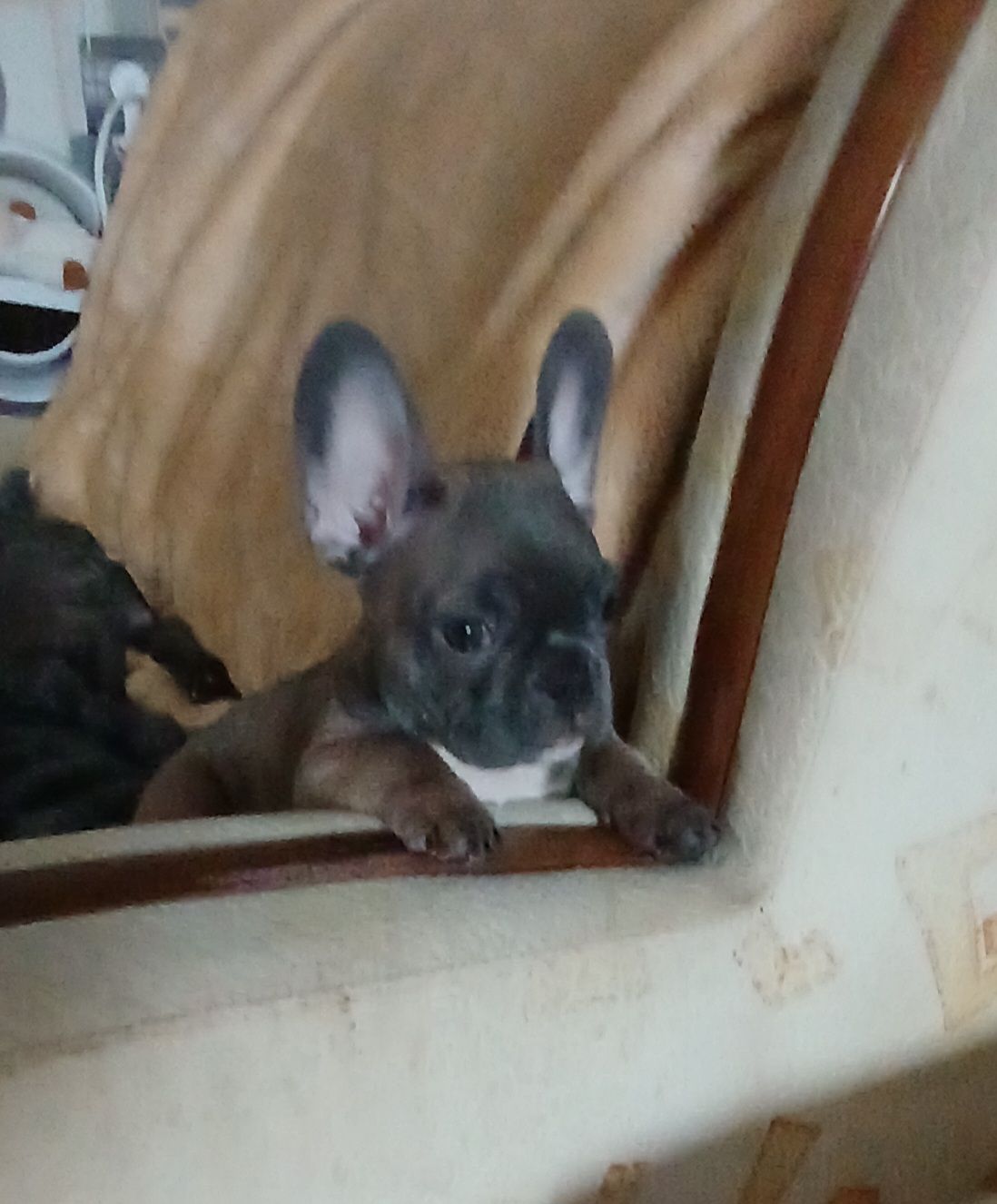Твій майбутній найкращий друг ❤️