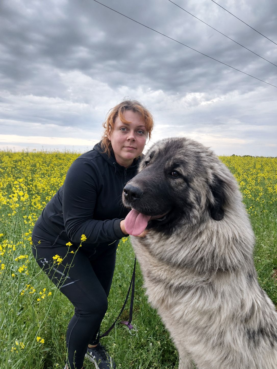 Хлопчик кавказької вівчарки, нащадок робочих чемпіонів, козопас, охоронець, компаньйон