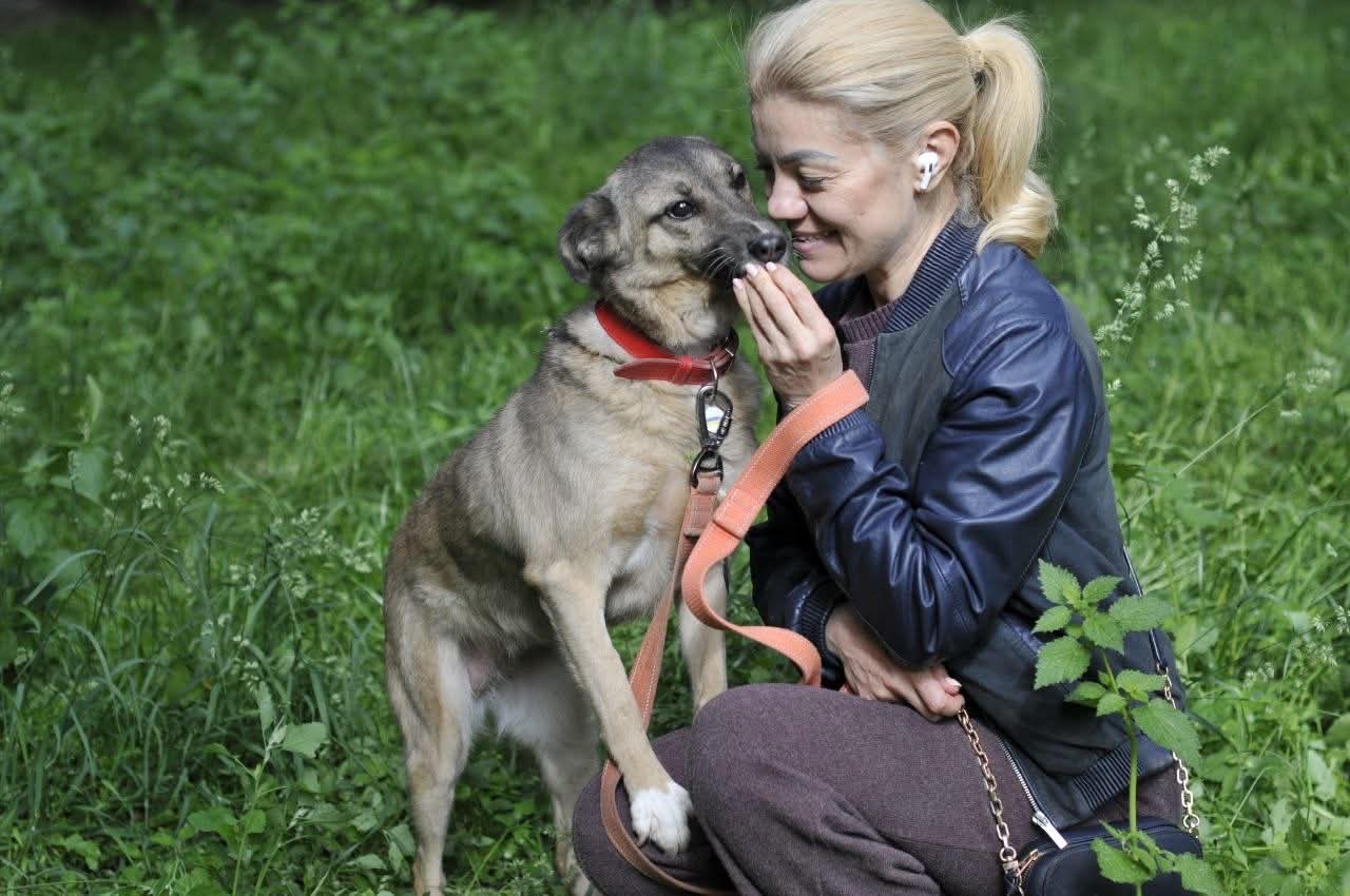Врятована Сімка мріє про родину!