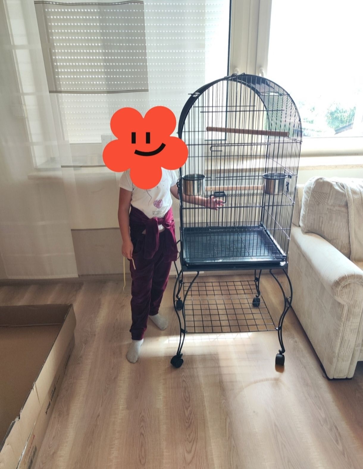 Продам пару корел (німф) разом з великою кліткою 🦜