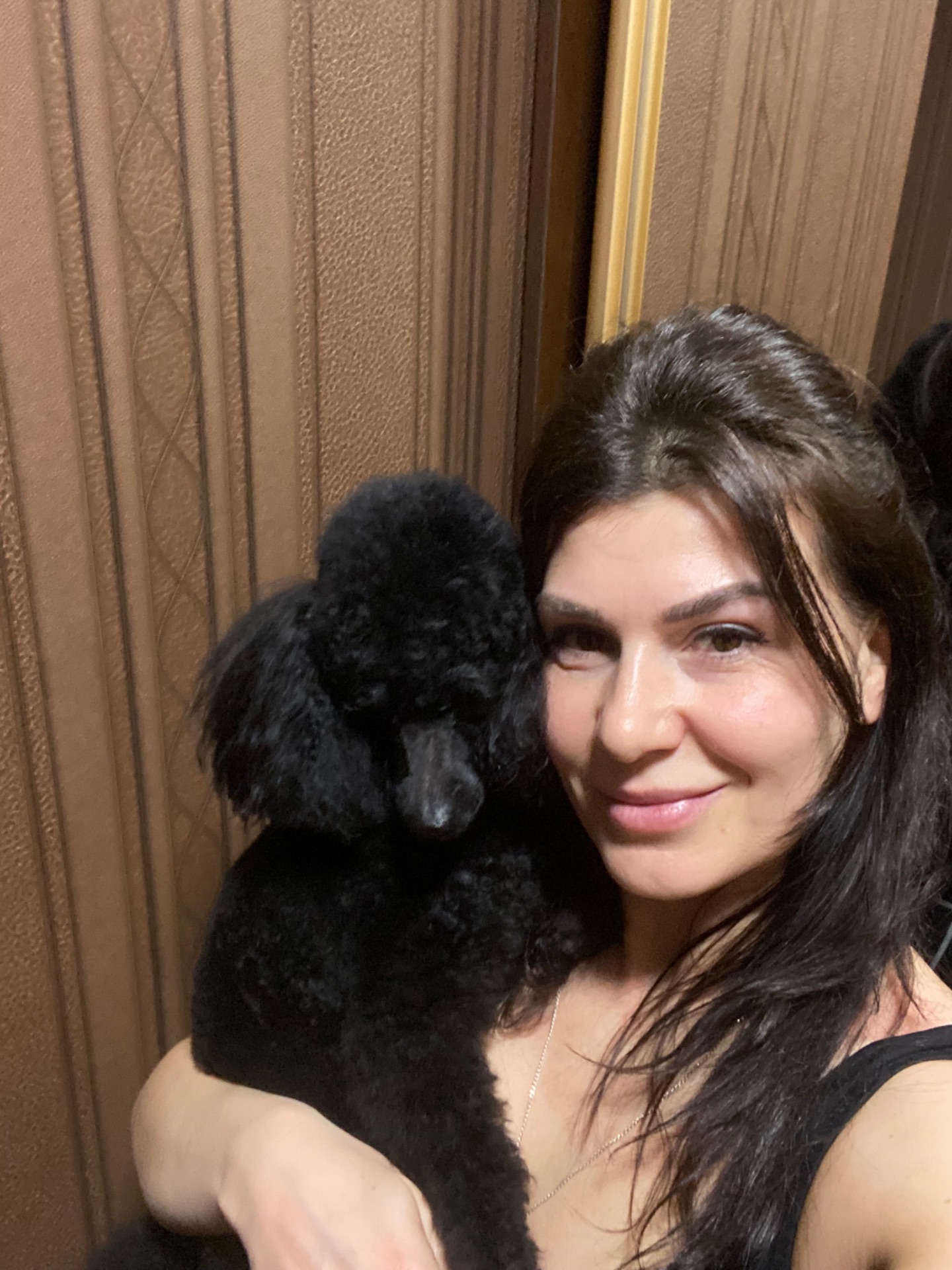 Цуценя Породи Пудель ( Мініатюра)