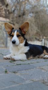 Хлопчик кардиган