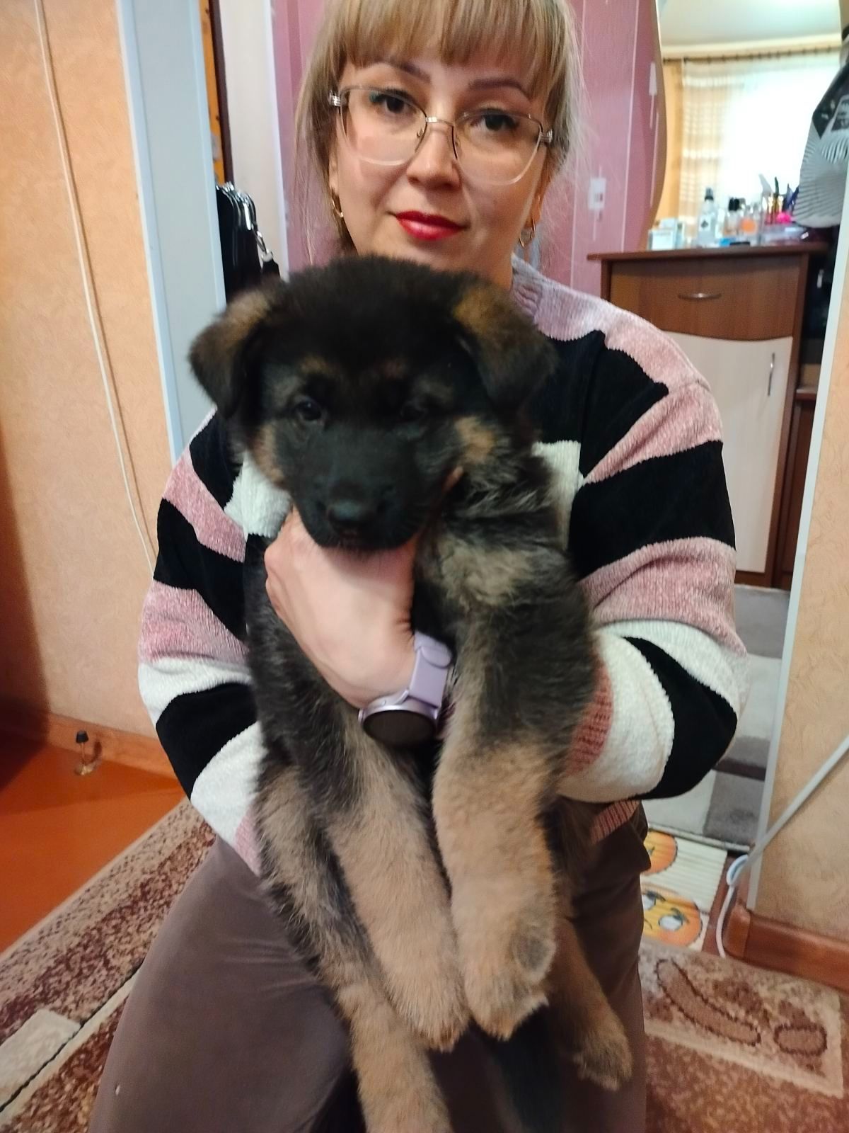 Щенок немецкой овчарки