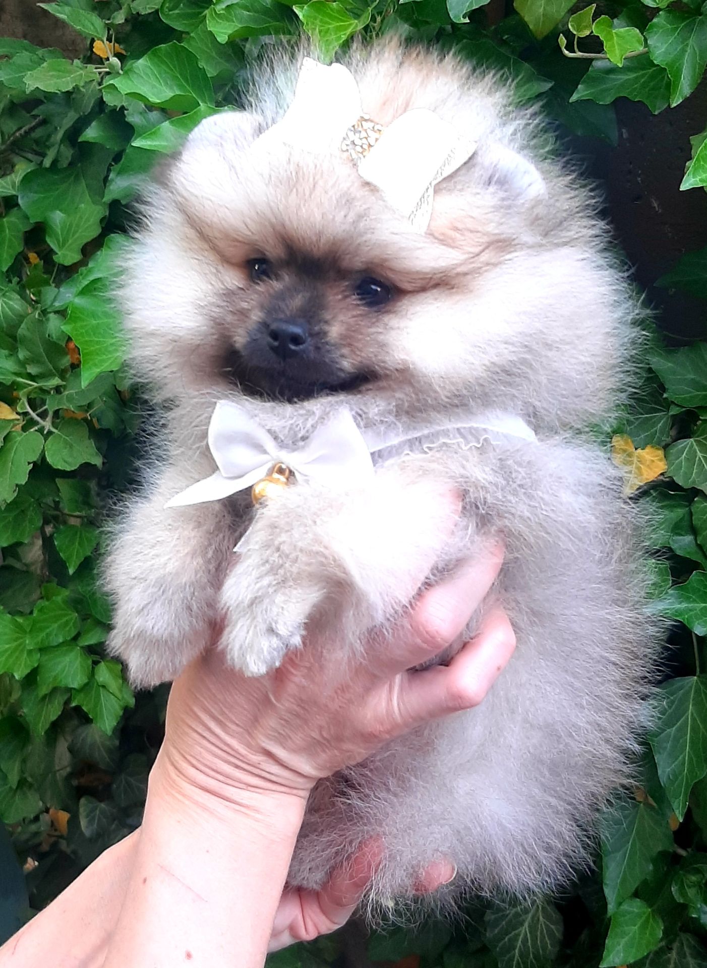 Чарiвна красуня! Baby face!