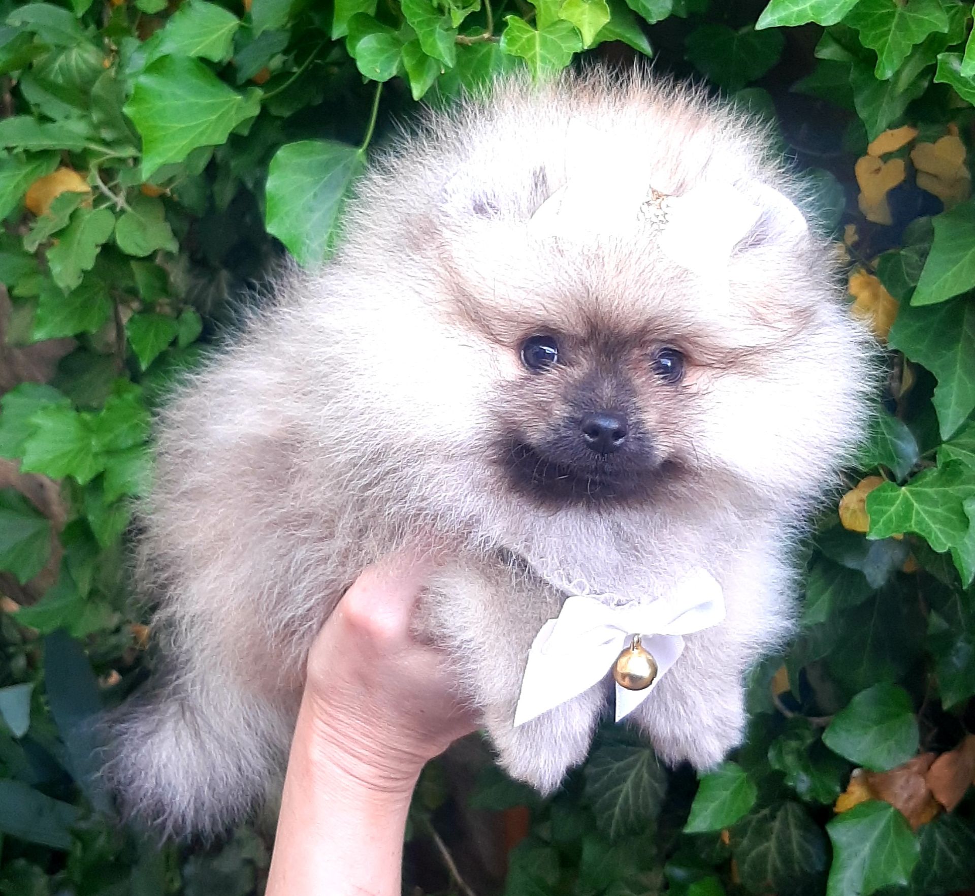 Чарiвна красуня! Baby face!