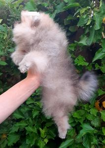 Чарiвна красуня! Baby face!