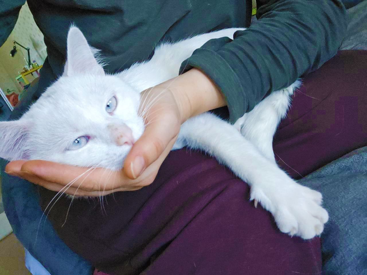 Марк