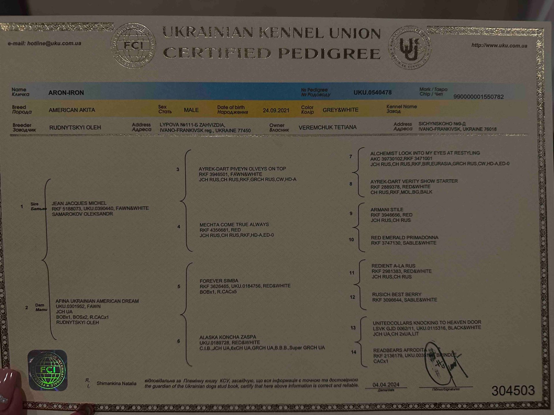 Продаж цуценят "Американська акіта "