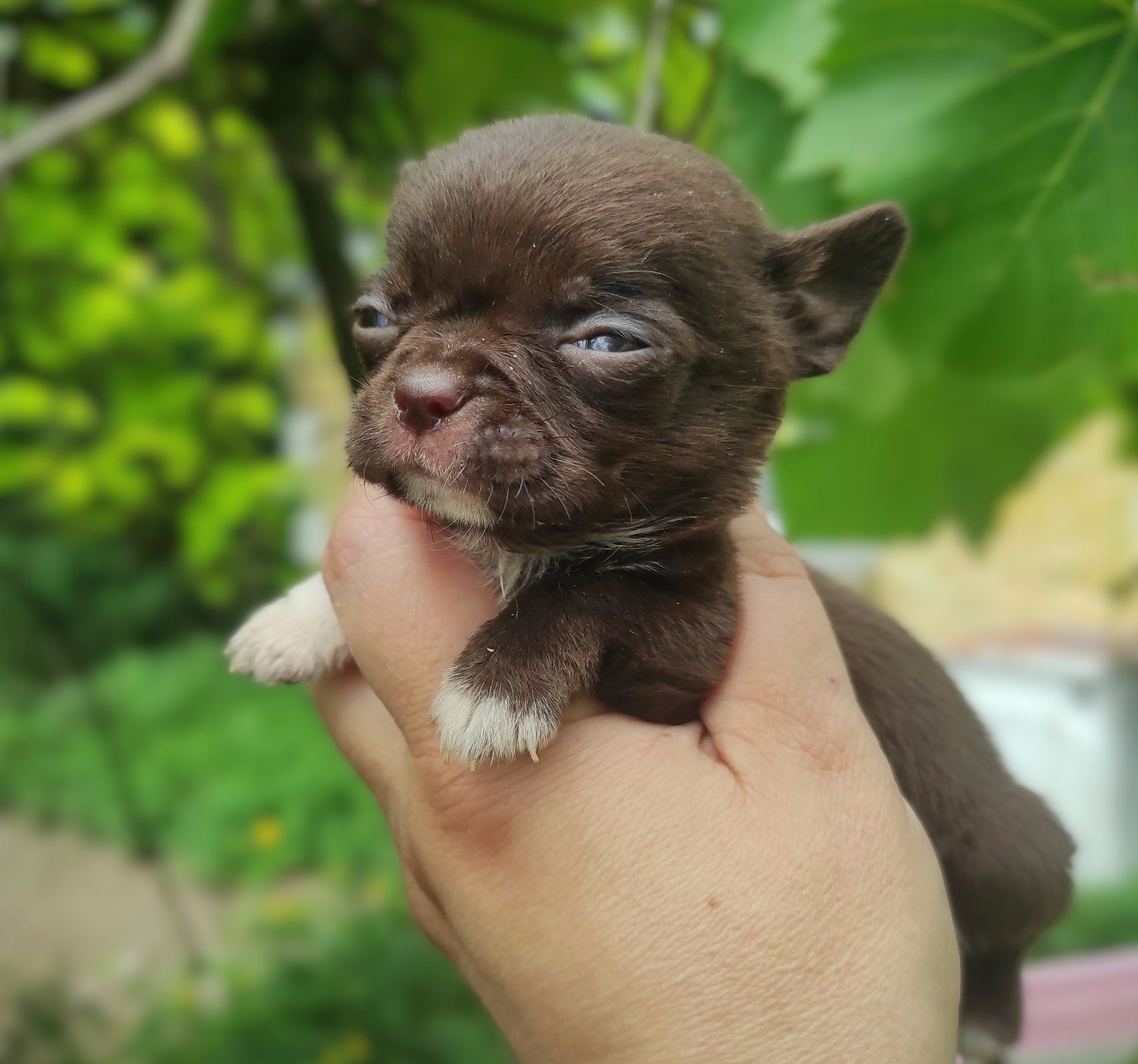 Невеличкий хлопчик