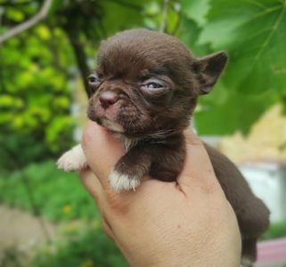 Невеличкий хлопчик