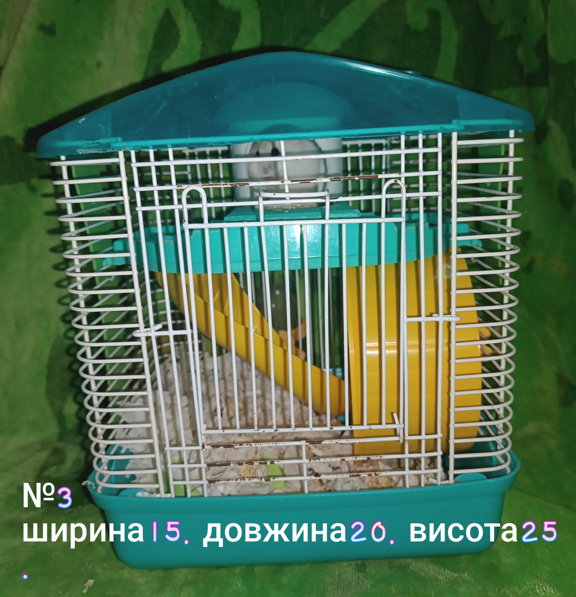 Джунгарики разом з клітками