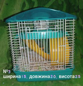 Джунгарики разом з клітками