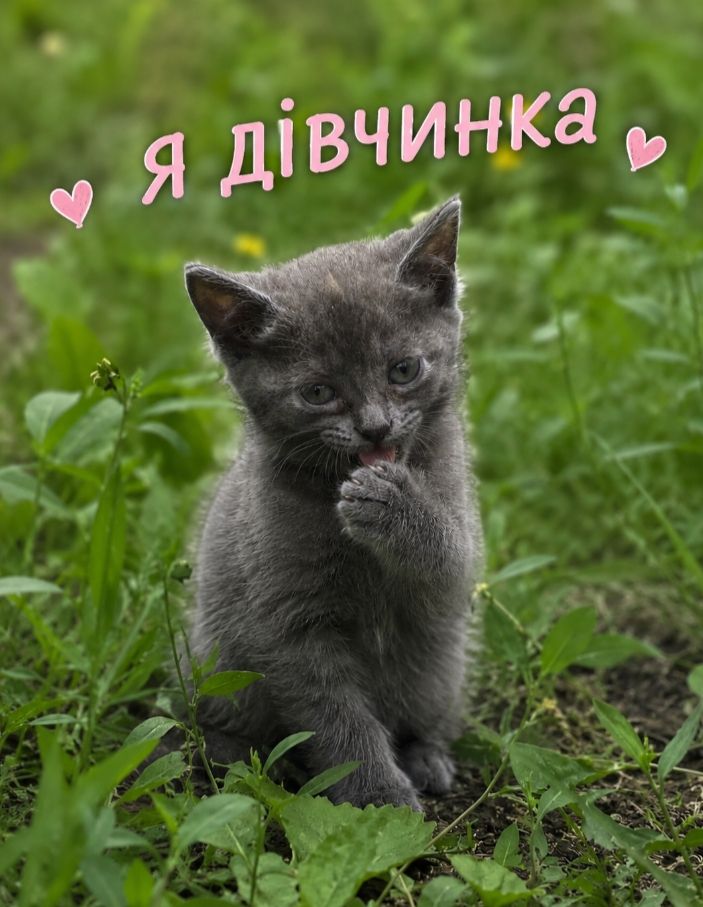 В добрі ручки