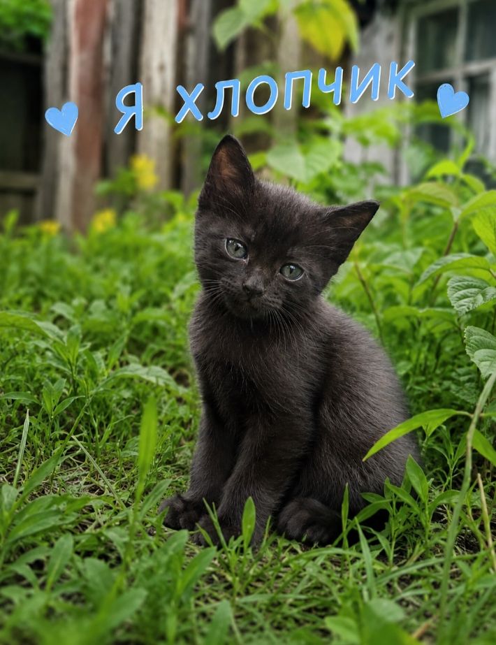 В добрі ручки