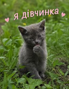 В добрі ручки