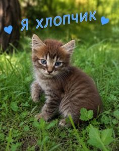 В добрі ручки