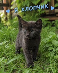 В добрі ручки